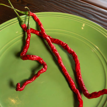 Thunder Mountain Longhorn Pepper Seeds - The Pepper Pantry (Formerly Marie Sharp's)